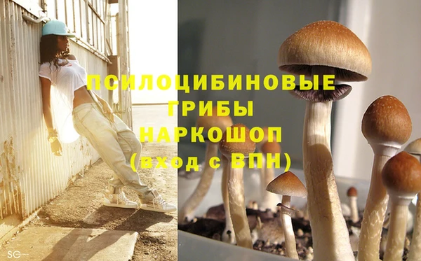 Альфа ПВП Бронницы